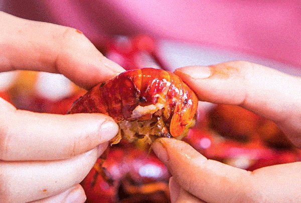 之道：72个情绪价值营造标杆案例不朽情缘平台网站旅游餐饮场景破局(图10)