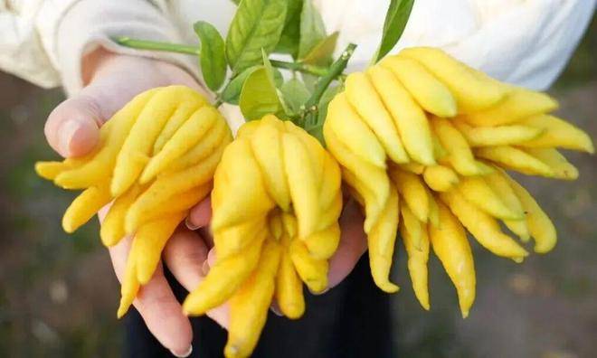 口村“电商钥”打开“共富锁”mg不朽情缘游戏登录入口北山(图8) 口村“电商钥”打开“共富锁”mg不朽情缘游戏登录入口北山(图8)