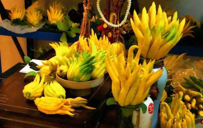 口村“电商钥”打开“共富锁”mg不朽情缘游戏登录入口北山(图7) 口村“电商钥”打开“共富锁”mg不朽情缘游戏登录入口北山(图7)